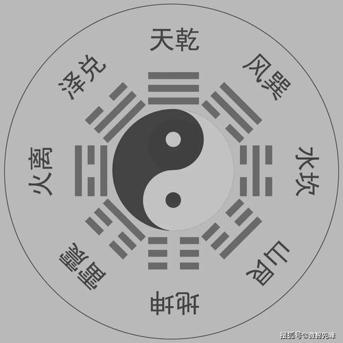紫薇命盘详解(免费版)
