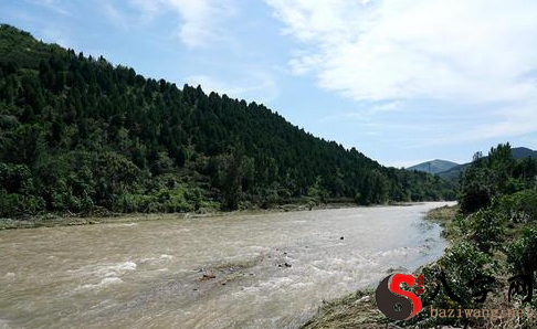 梦见河流水势很大